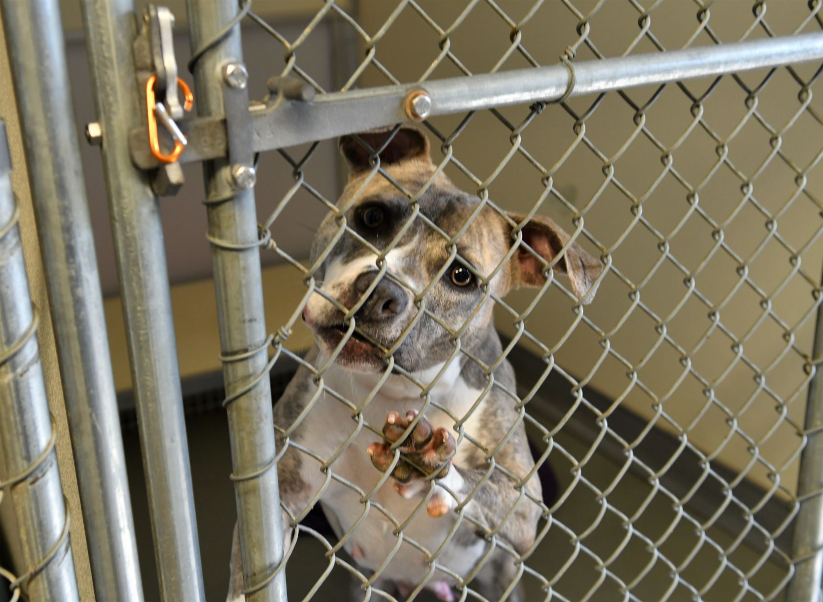 091421-qc-nws-shelter7.jpg